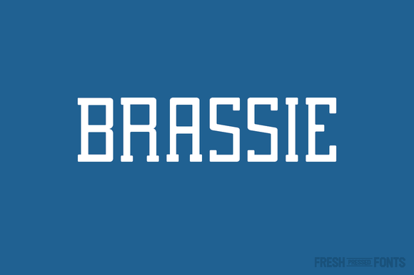Brassie Family: A Versatile Slab Serif Font for Digital Marketing