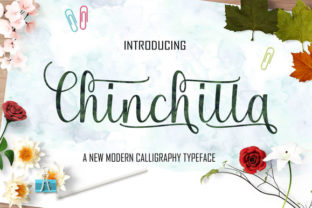 Chinchilla: A Script Handwritten Font for Elegant Branding