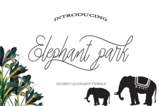 Elephant Park Font for Polished Branding and Professional Design