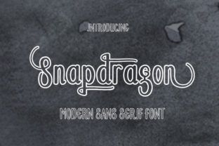 Snapping Up a Font That Speaks Your Brand